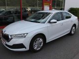 Skoda Octavia bei Reisemobile.expert - Abbildung (2 / 15)