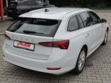 Skoda Octavia bei Reisemobile.expert - Abbildung (6 / 14)