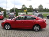 Skoda Octavia bei Reisemobile.expert - Abbildung (4 / 15)