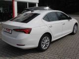 Skoda Octavia bei Reisemobile.expert - Abbildung (5 / 13)