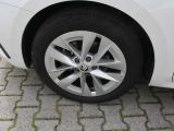 Skoda Octavia bei Reisemobile.expert - Abbildung (7 / 13)