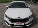 Skoda Octavia bei Reisemobile.expert - Abbildung (2 / 13)