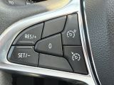 Dacia Sandero bei Reisemobile.expert - Abbildung (13 / 15)