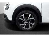 Citroen C3 bei Reisemobile.expert - Abbildung (7 / 12)