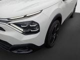 Citroen C4 bei Reisemobile.expert - Abbildung (8 / 12)