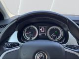 Skoda Fabia bei Reisemobile.expert - Abbildung (13 / 15)
