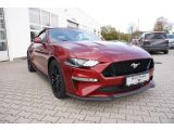 Ford Mustang bei Reisemobile.expert - Abbildung (5 / 13)
