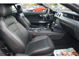 Ford Mustang bei Reisemobile.expert - Abbildung (6 / 13)