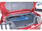 Ford Mustang bei Reisemobile.expert - Abbildung (7 / 13)