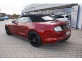 Ford Mustang bei Reisemobile.expert - Abbildung (3 / 13)