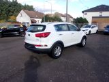 Kia Sportage bei Reisemobile.expert - Abbildung (5 / 10)