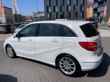 Mercedes-Benz B-Klasse bei Reisemobile.expert - Abbildung (6 / 15)