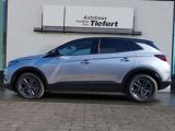 Opel Grandland X bei Reisemobile.expert - Abbildung (2 / 15)
