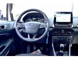 Ford EcoSport bei Reisemobile.expert - Abbildung (10 / 15)