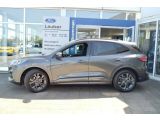 Ford Kuga bei Reisemobile.expert - Abbildung (2 / 15)