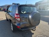 Toyota RAV 4 bei Reisemobile.expert - Abbildung (13 / 15)