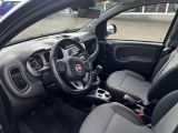 Fiat Panda bei Reisemobile.expert - Abbildung (5 / 15)