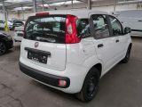 Fiat Panda bei Reisemobile.expert - Abbildung (3 / 12)