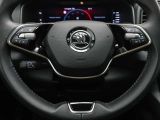 Skoda Karoq bei Reisemobile.expert - Abbildung (9 / 15)