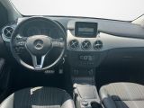 Mercedes-Benz B-Klasse bei Reisemobile.expert - Abbildung (14 / 15)