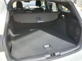 Ford Focus ST bei Reisemobile.expert - Abbildung (6 / 14)
