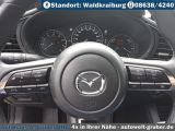 Mazda 3 bei Reisemobile.expert - Abbildung (13 / 15)