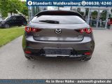 Mazda 3 bei Reisemobile.expert - Abbildung (6 / 15)