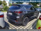 Mazda CX 5 bei Reisemobile.expert - Abbildung (10 / 15)
