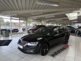 Skoda Octavia bei Reisemobile.expert - Abbildung (4 / 10) Skoda Octavia bei Reisemobile.expert - Abbildung (4 / 10)
