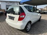 Mercedes-Benz A-Klasse bei Reisemobile.expert - Abbildung (3 / 12)