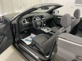 Audi A5 Cabriolet bei Reisemobile.expert - Abbildung (10 / 15)