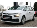 Citroen C4 bei Reisemobile.expert - Abbildung (5 / 15)