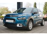 Citroen C4 Cactus bei Reisemobile.expert - Abbildung (5 / 15)