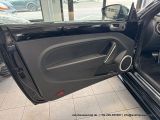 VW Beetle bei Reisemobile.expert - Abbildung (14 / 15)