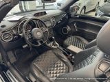 VW Beetle bei Reisemobile.expert - Abbildung (13 / 15)
