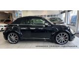 VW Beetle bei Reisemobile.expert - Abbildung (6 / 15)