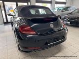 VW Beetle bei Reisemobile.expert - Abbildung (8 / 15)