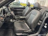 VW Beetle bei Reisemobile.expert - Abbildung (15 / 15)