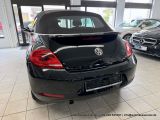 VW Beetle bei Reisemobile.expert - Abbildung (6 / 15)