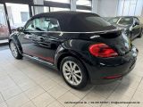 VW Beetle bei Reisemobile.expert - Abbildung (7 / 15)