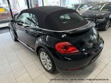 VW Beetle bei Reisemobile.expert - Abbildung (8 / 15)