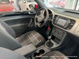 VW Beetle bei Reisemobile.expert - Abbildung (15 / 15)