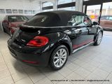 VW Beetle bei Reisemobile.expert - Abbildung (5 / 15)