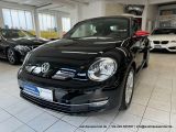 VW Beetle bei Reisemobile.expert - Abbildung (2 / 15)