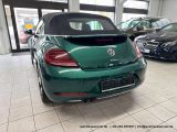 VW Beetle bei Reisemobile.expert - Abbildung (7 / 15)