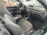 VW Beetle bei Reisemobile.expert - Abbildung (15 / 15)