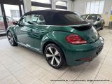 VW Beetle bei Reisemobile.expert - Abbildung (8 / 15)