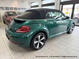 VW Beetle bei Reisemobile.expert - Abbildung (6 / 15)