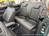 VW Beetle bei Reisemobile.expert - Abbildung (13 / 15)