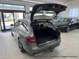 Mercedes-Benz C-Klasse bei Reisemobile.expert - Abbildung (12 / 15) Mercedes-Benz C-Klasse bei Reisemobile.expert - Abbildung (12 / 15)